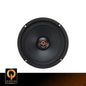 Quantum 6'' QPSM6V4